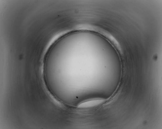 X0000102231376200807250759
