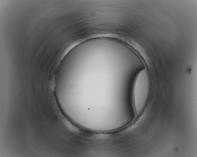 X0000102231377200807250759