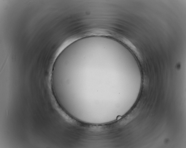 X0000102231378200807250759