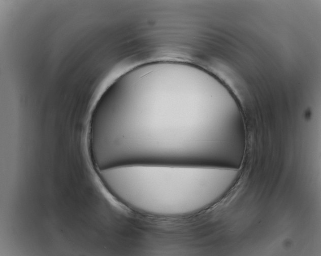 X0000102231379200807250759