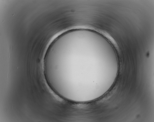 X0000102231380200807250759