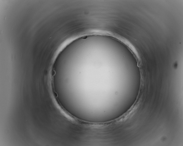 X0000102231381200807250759