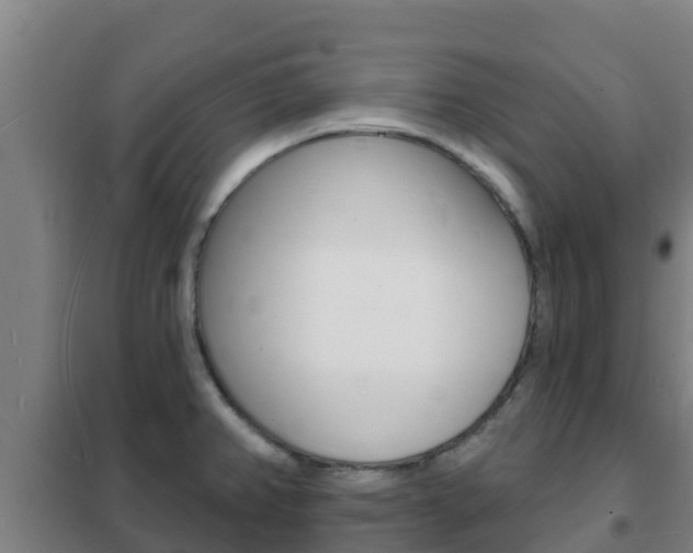 X0000102231382200807250759