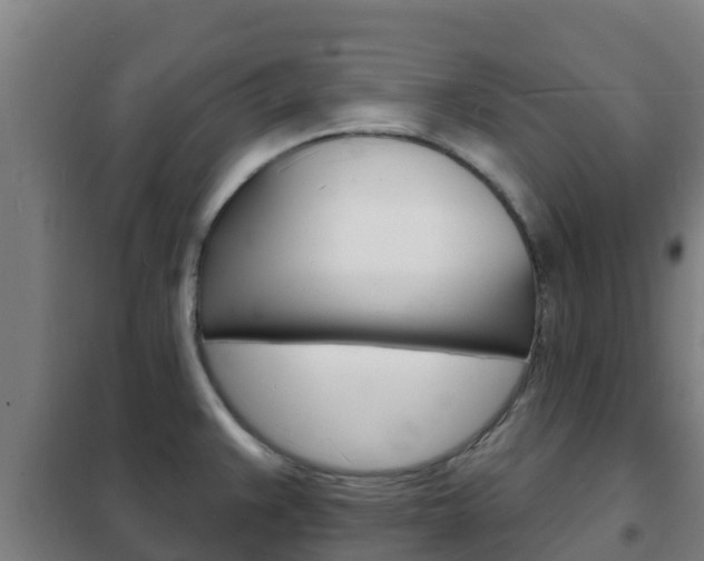 X0000102231383200807250759