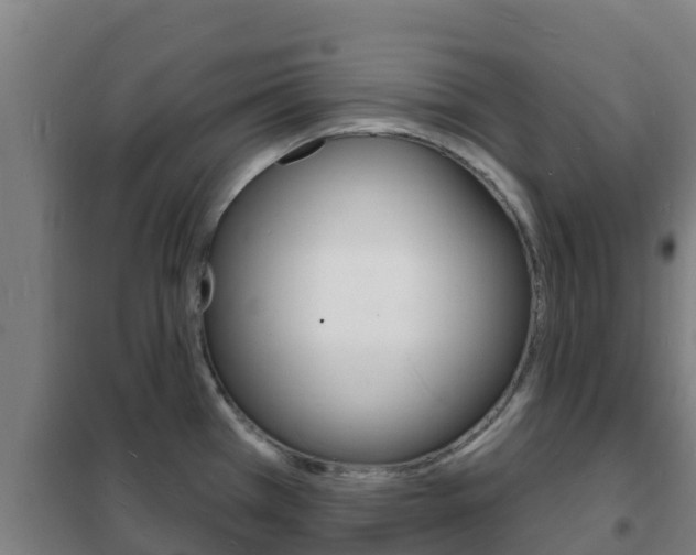 X0000102231385200807250759