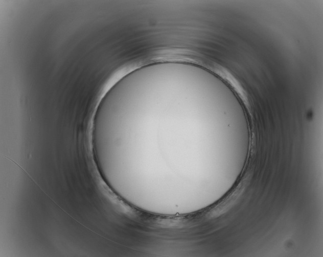 X0000102231386200807250759