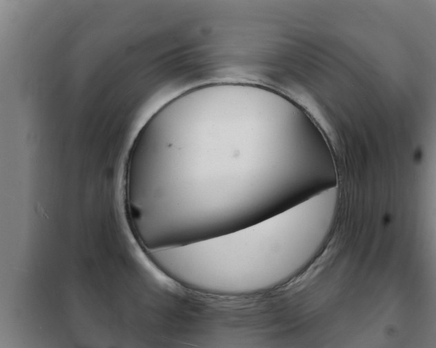 X0000102231387200807250759