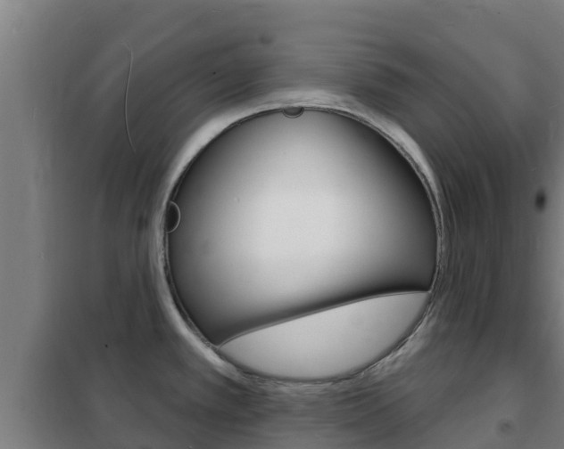 X0000102231389200807250758