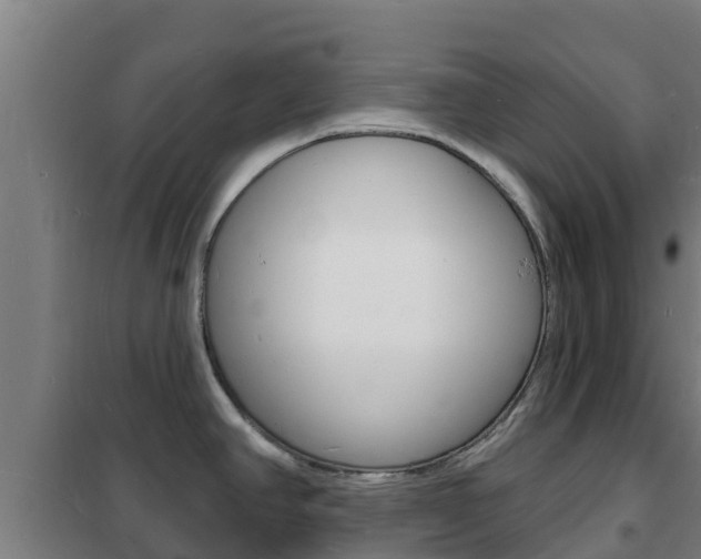 X0000102231390200807250758