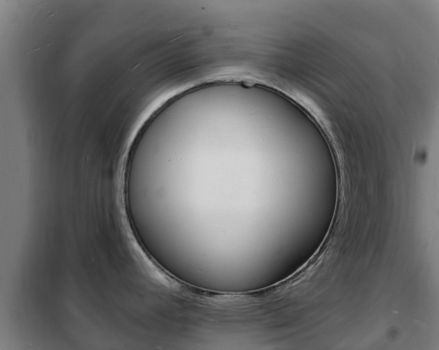 X0000102231392200807250758