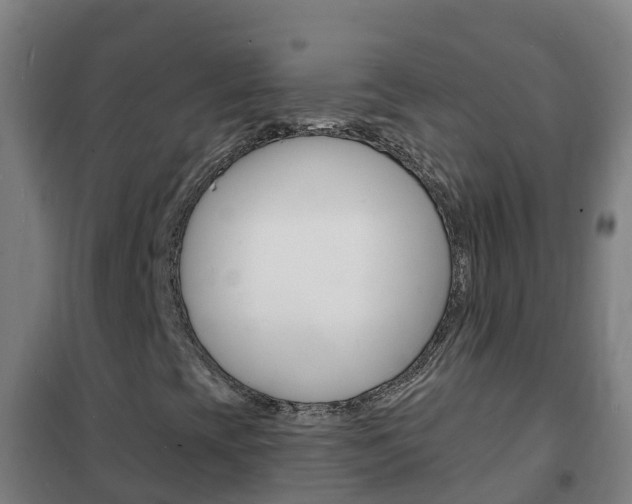 X0000102231393200807250758