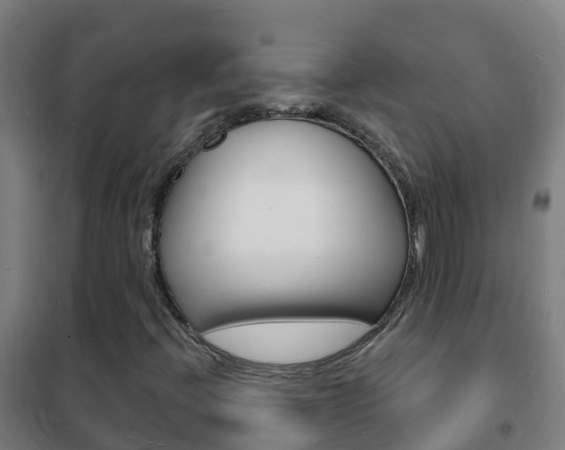X0000102231396200807250758