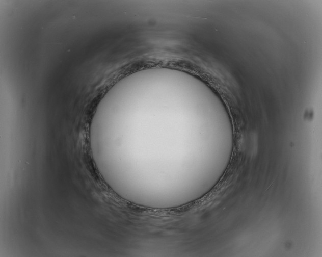 X0000102231397200807250758