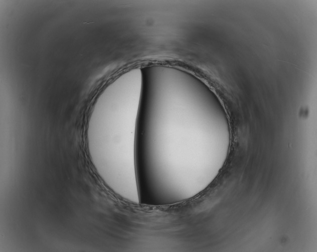 X0000102231398200807250758