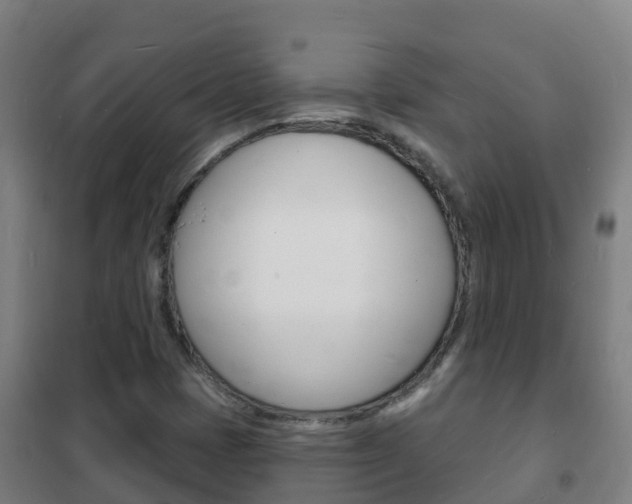 X0000102231401200807250758