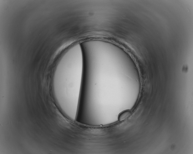 X0000102231402200807250758