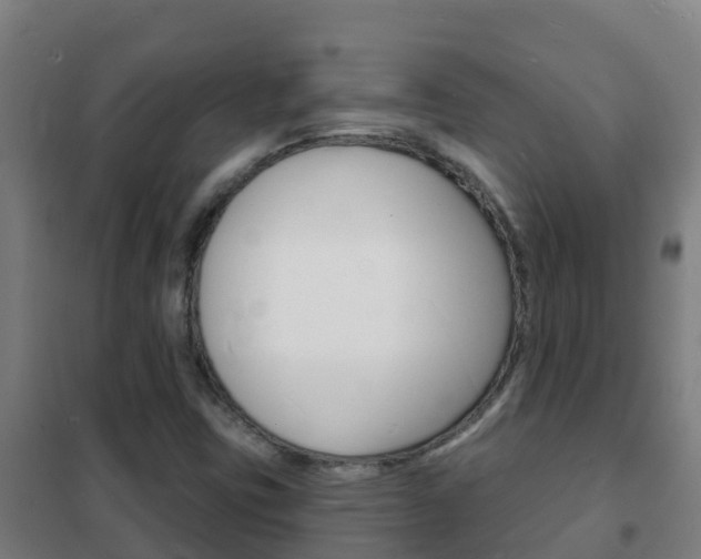 X0000102231403200807250758