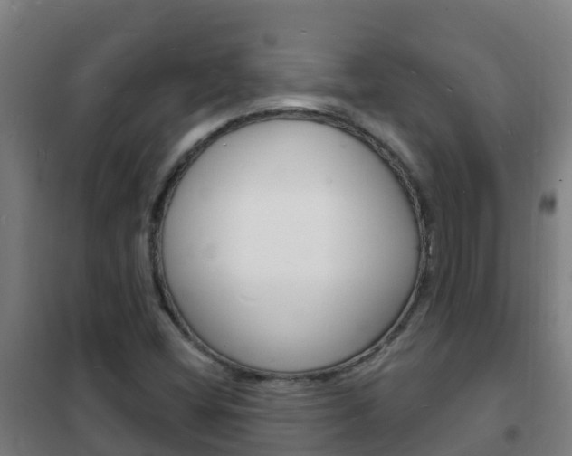 X0000102231404200807250758