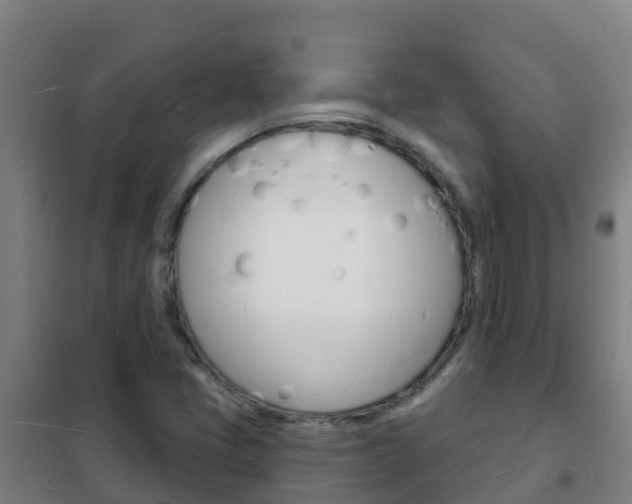X0000102231405200807250758