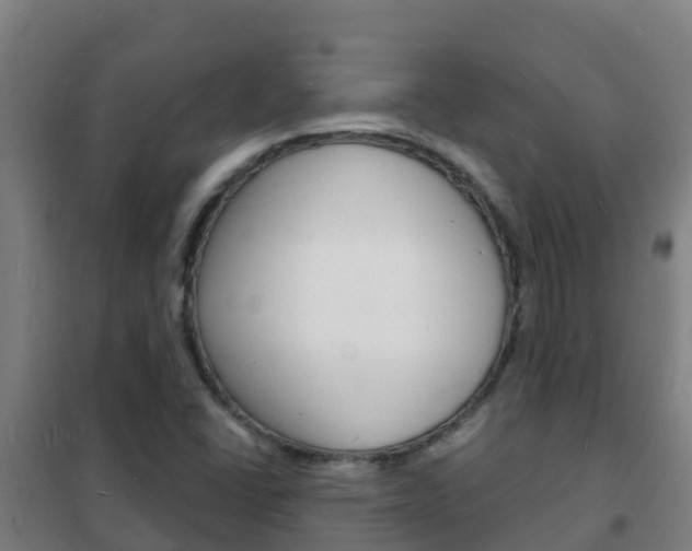 X0000102231406200807250758