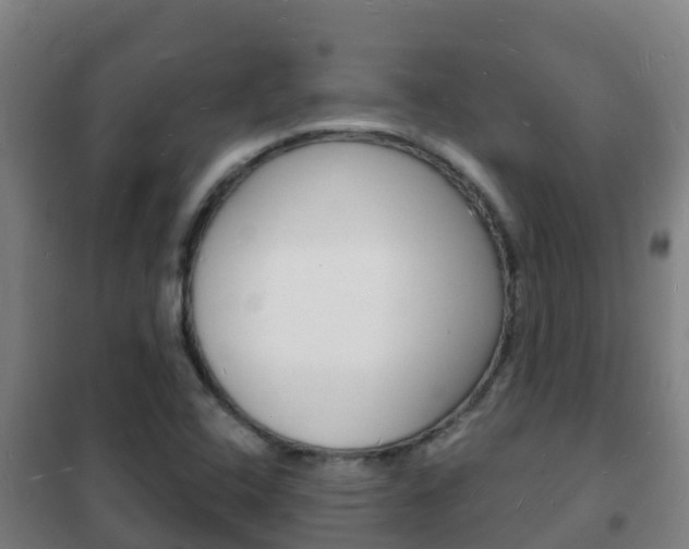 X0000102231408200807250758