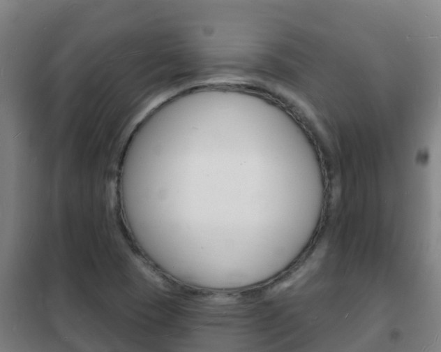 X0000102231409200807250758