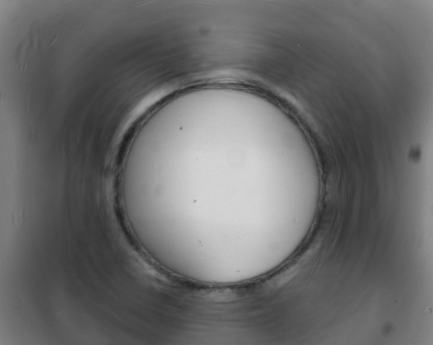 X0000102231410200807250758
