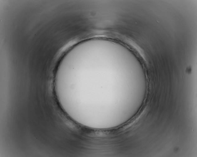 X0000102231411200807250758