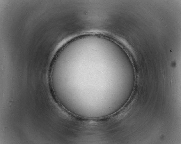 X0000102231412200807250758