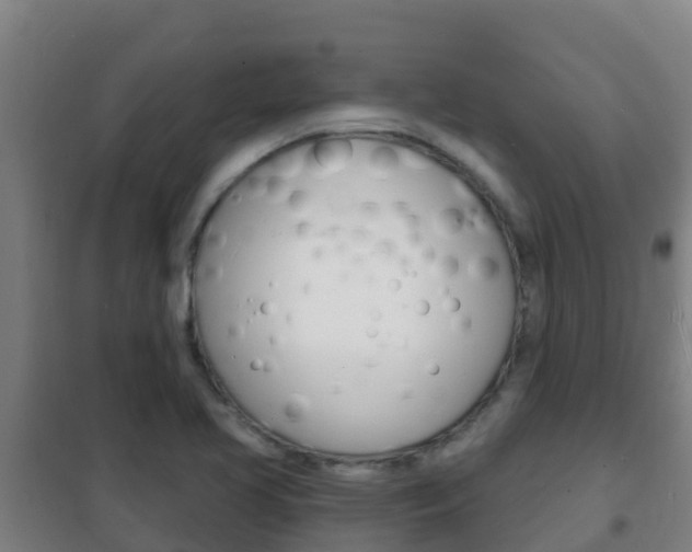 X0000102231413200807250758
