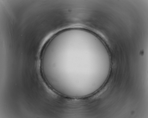 X0000102231414200807250758