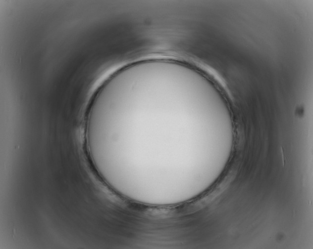 X0000102231415200807250758