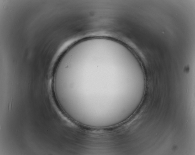 X0000102231416200807250758
