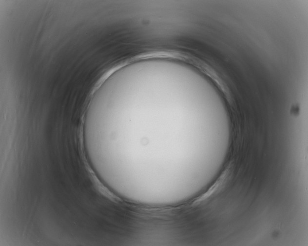 X0000102231417200807250758
