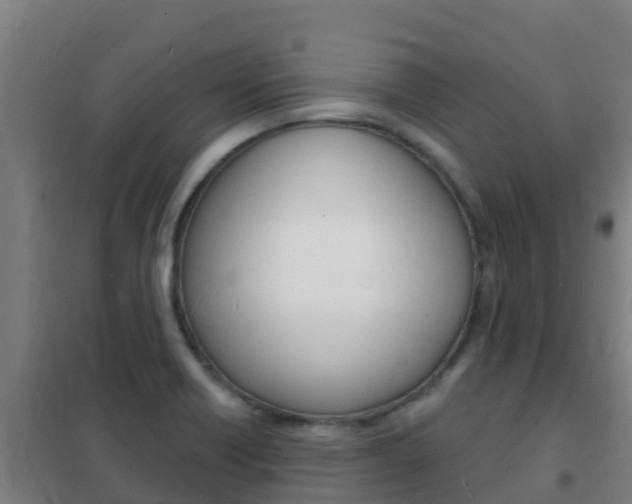 X0000102231418200807250758