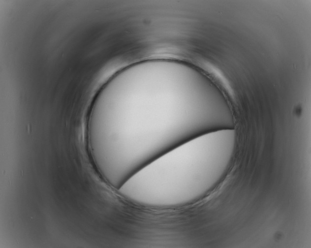 X0000102231419200807250758
