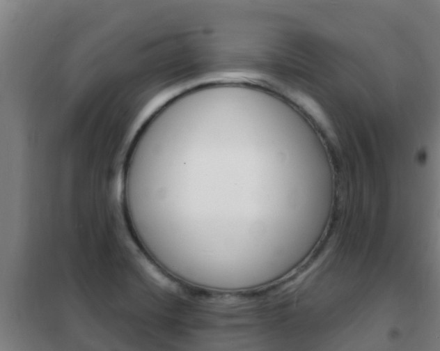 X0000102231420200807250758