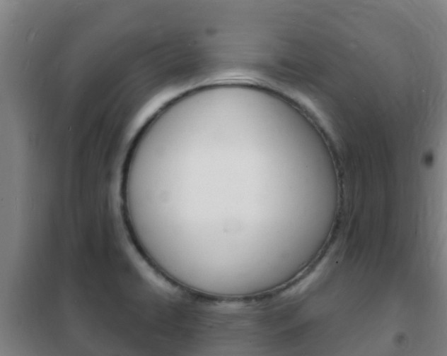 X0000102231422200807250758