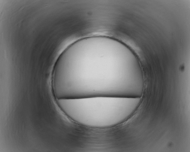 X0000102231423200807250758