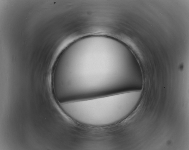 X0000102231424200807250758