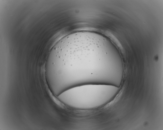 X0000102231425200807250758