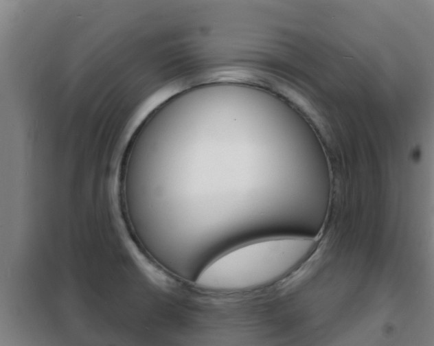 X0000102231426200807250758