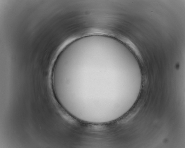 X0000102231427200807250758