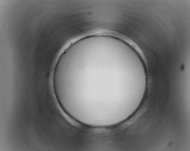 X0000102231429200807250758