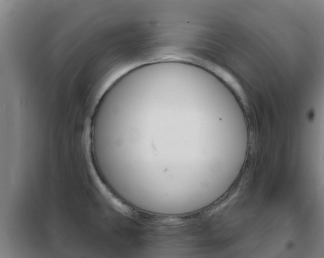 X0000102231431200807250758