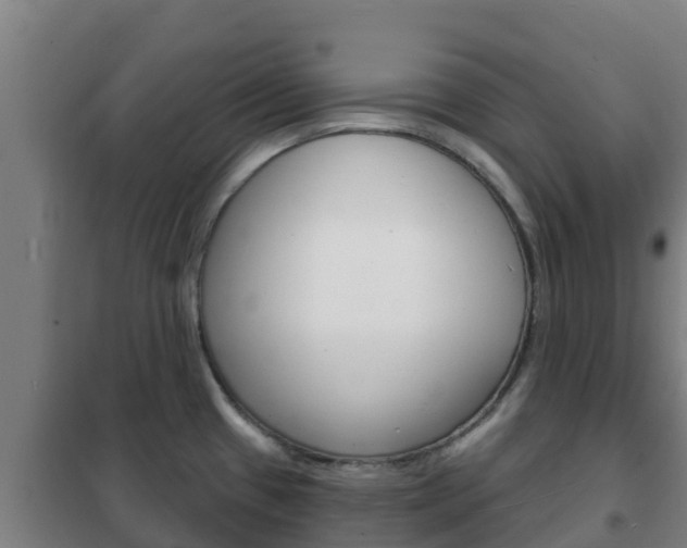 X0000102231433200807250758