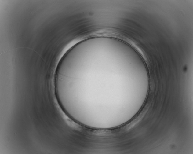 X0000102231434200807250758