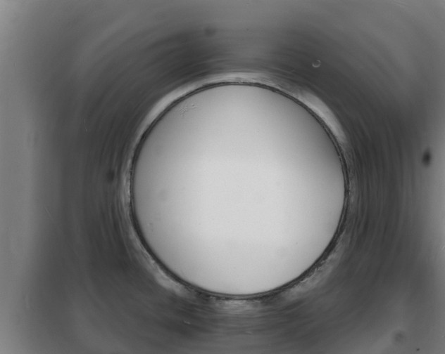 X0000102231436200807250758