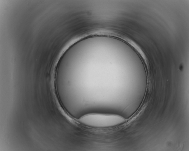 X0000102231437200807250758