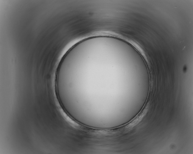 X0000102231438200807250758